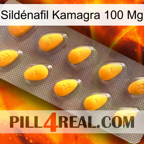 Sildénafil Kamagra 100 Mg cialis1.jpg